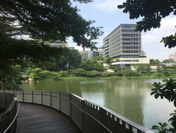 Blk 451 Yishun Ring Road (Yishun), HDB 4 Rooms #167654012
